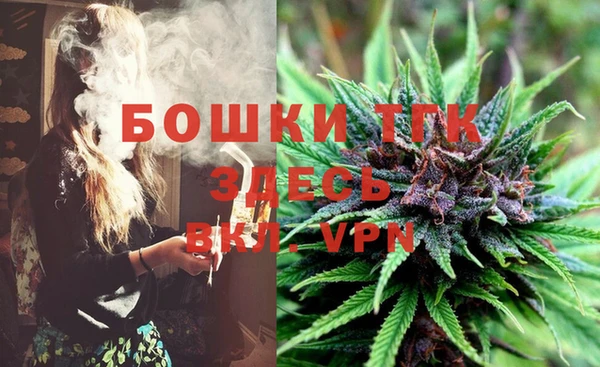 прущая мука Арсеньев