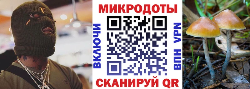 даркнет клад  Болохово  Псилоцибиновые грибы Psilocybe 